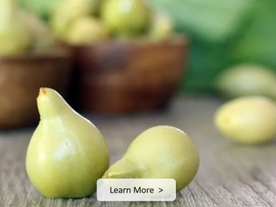 kakadu-plum-1296x728-header-1296 Kakadu Plum Extract & Oil